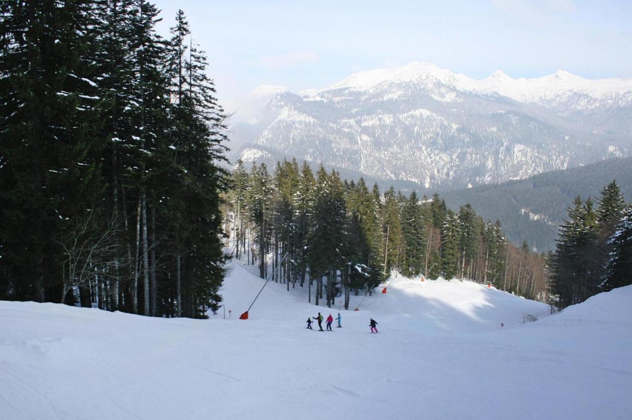 Holiday home Altaussee,